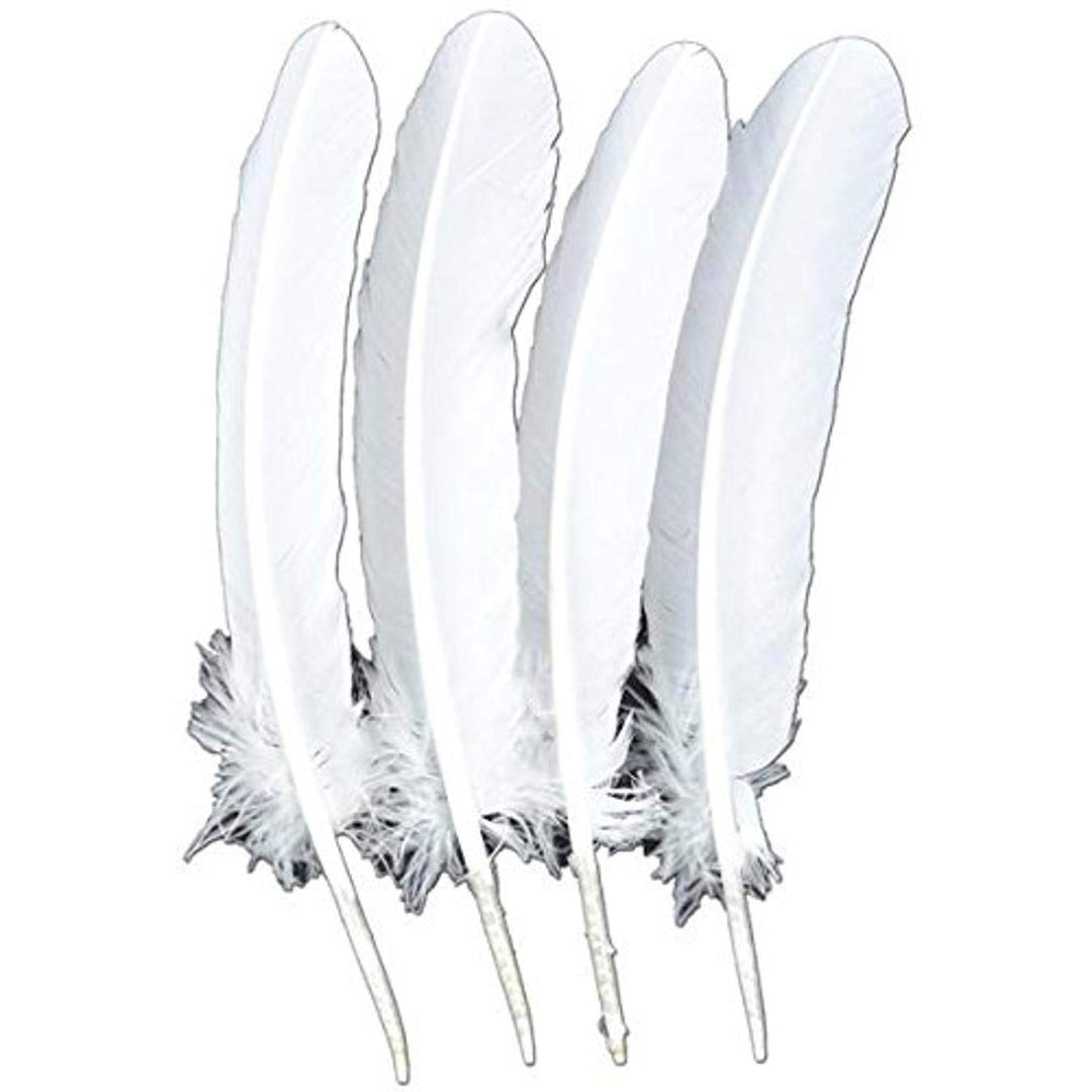 4-Piece Turkey Feather for Art and Craft, 12.25 to 13-Inch, White