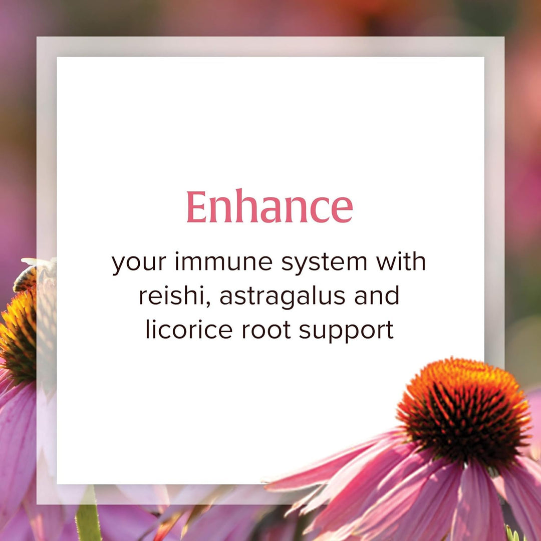 Natural Factors, Anti-V Liquid Formula, Echinacea Supplement for Immune and Wellness Support, Organic, Non-GMO, 3.4 oz (100 servings)