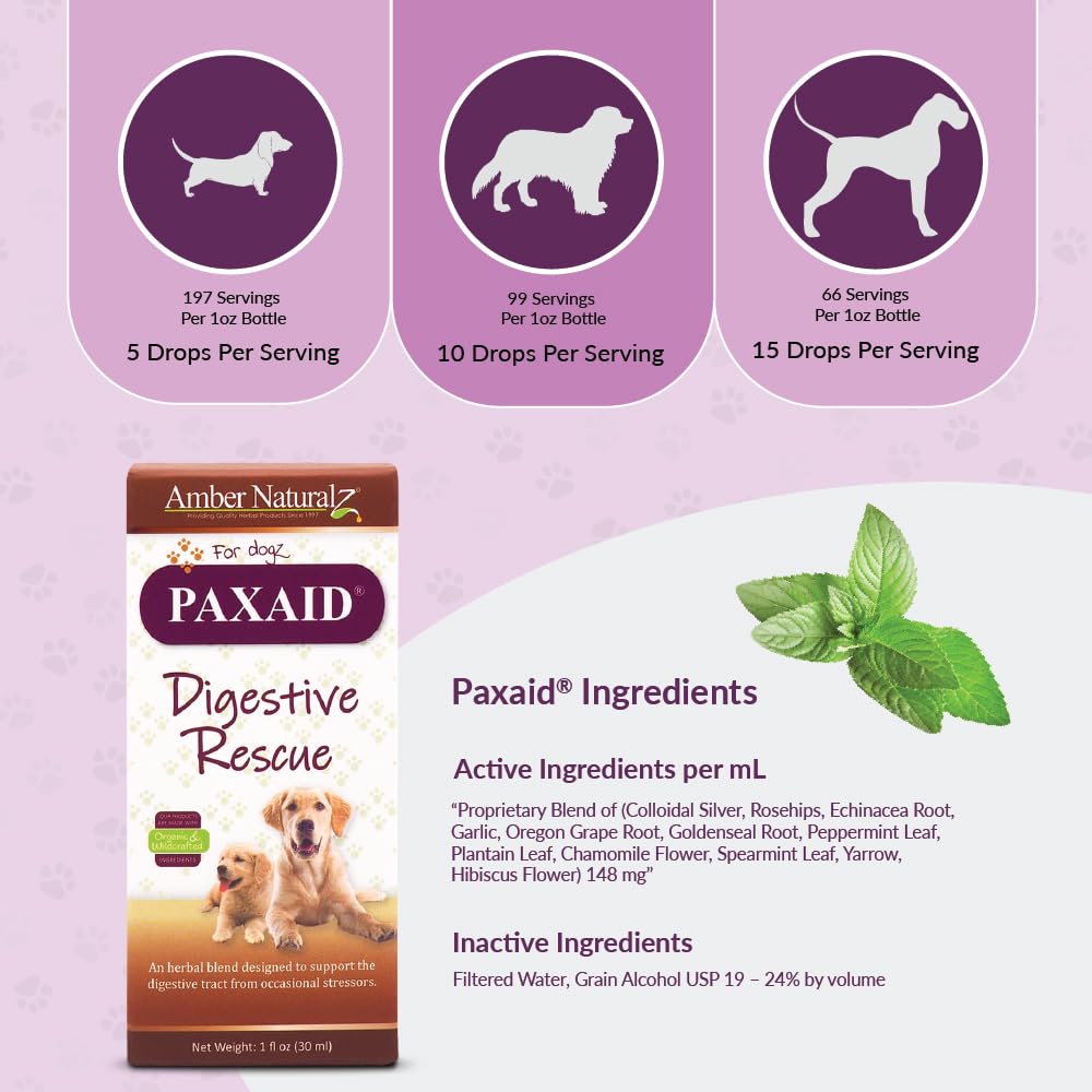 Amber NaturalZ Paxaid Digestive Rescue Herbal Supplement for Dogs and Puppies | Canine Herbal Supplement for Occasional Digestive Upset Support | 1 Fluid Ounce Glass Bottle | Manufactured in The USA