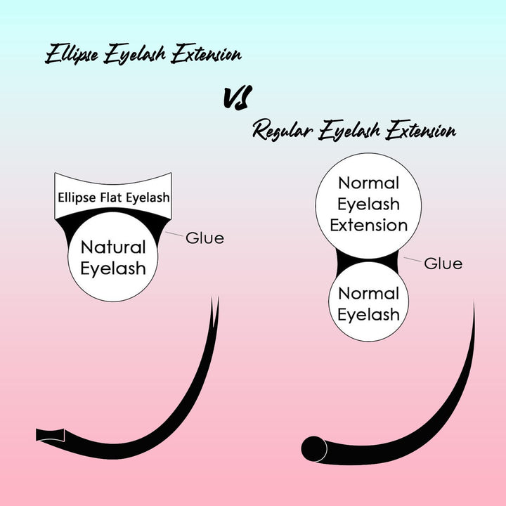 Ellipse Eyelash Extensions 0.15mm DD Curl 12mm Flat Eyelash Extension Supplies Light Lashes Matte Individual Eyelashes Salon Use Black Mink False Lashes Mink Lashes Extensions(DD-0.15-12mm)