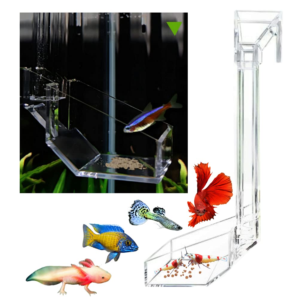 Shrimp Fish Feeding Dish, Aquarium -Sky Restaurant- Betta Feeding - Prevent Food Spilling, Fish Feeder, Also Easy to Clean Up The Food Left Over, African Feeding, Dwarf Frogs Feeding