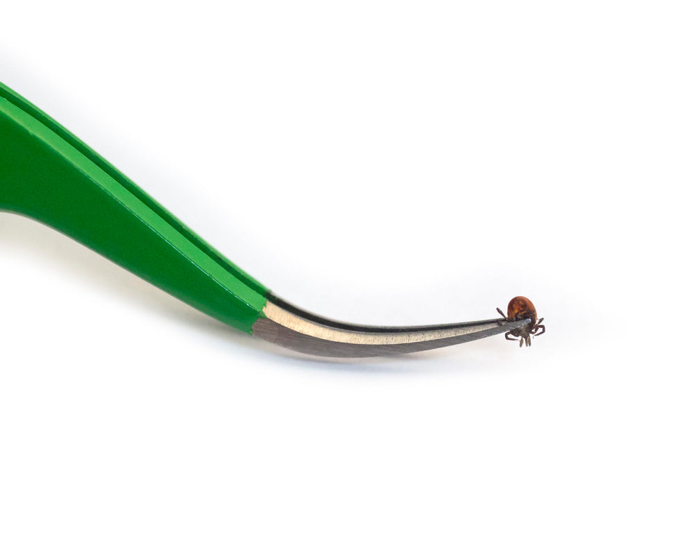 Premium Tick Remover Kit - Stainless Steel Tick Remover + Tweezers, Leather Case, and Free Pocket Tick Identification Card (1)