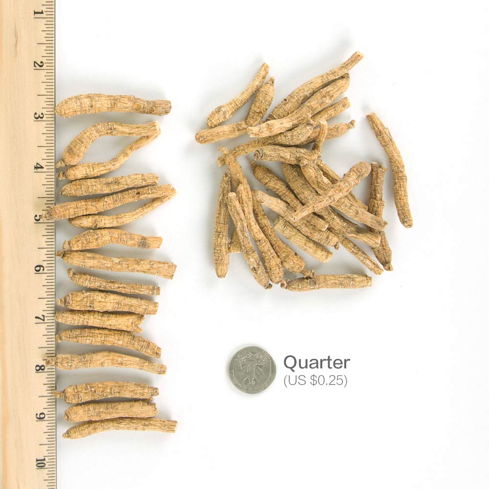 Hsu's Ginseng SKU 105-4 | Long Small #2 | Cultivate
