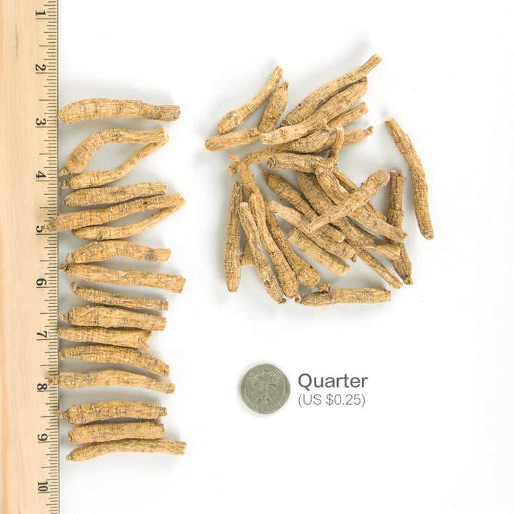Hsu&#39;s Ginseng SKU 105-4 | Long Small #2 | Culti