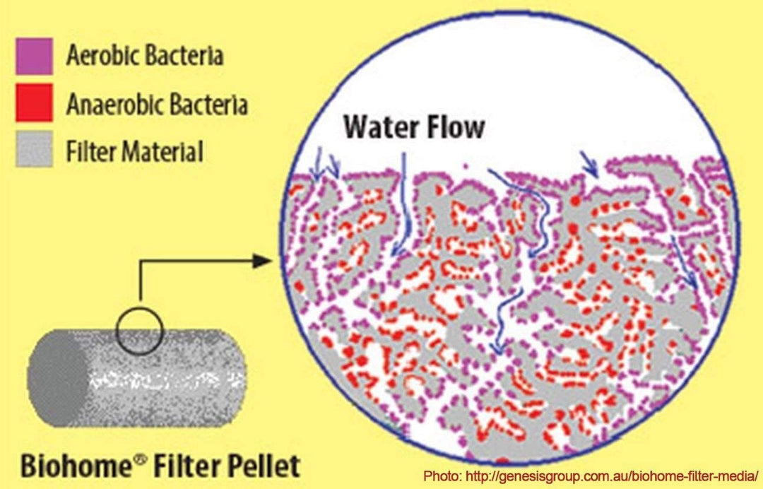 Ultimate Filter Media (1 LB)