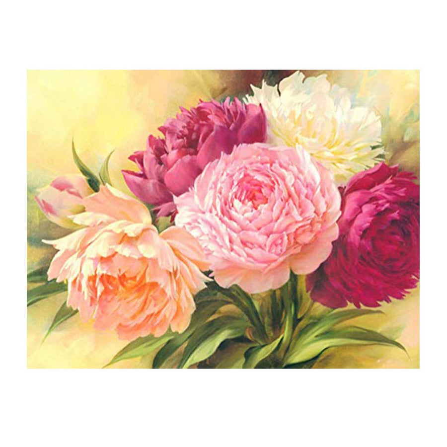 Kimily DIY Paint by Numbers for Adults Kids Flower Peon