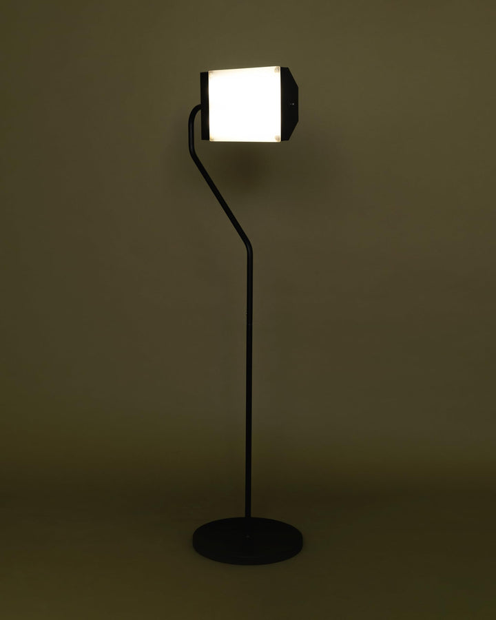Northern Light Technology Flamingo 10,000 Lux Bright Light Therapy Floor Lamp, Black