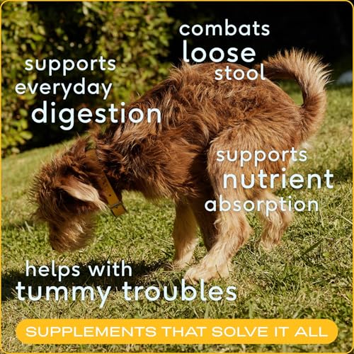 Pumpkin for Dogs - Organic Powder Pumpkin Puree Dog Food Toppers -Rich in Fiber Supplement Powder Helps with Digestion, Nutrient Absorption, Diarrhea, Constipation &amp; Upset Stomach-30 Scoops
