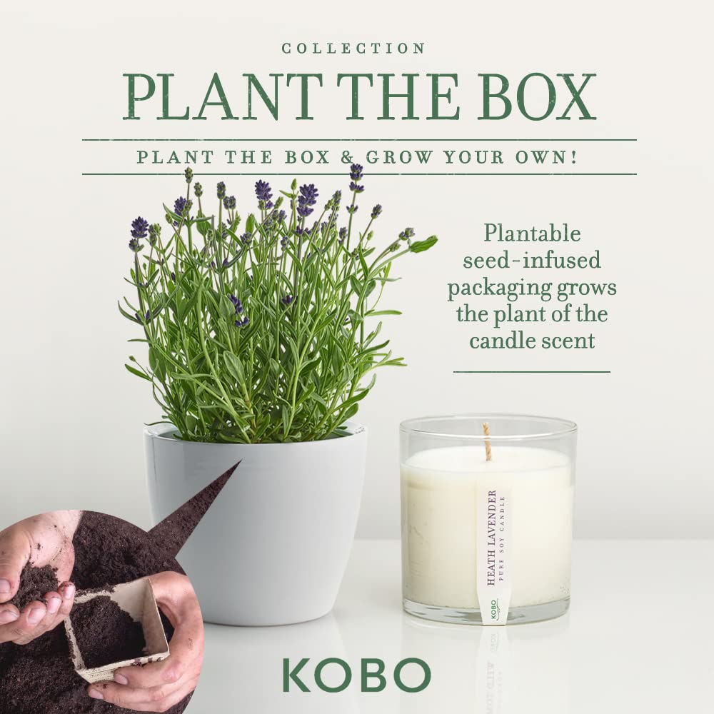 Heath Lavender Soy Candle with Plantable Box