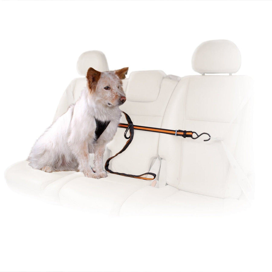 Auto Zipline for Dogs, Adjustable Dog Safety Belt Leash, Pet Seat Belt Tether, Reduce Distracted Driving, Includes Dog Leash & Carabiner Clips, 6 feet