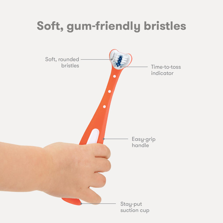 FridaBaby Triple-Angle Toothhugger Training Toothbrush for Toddler Oral Care