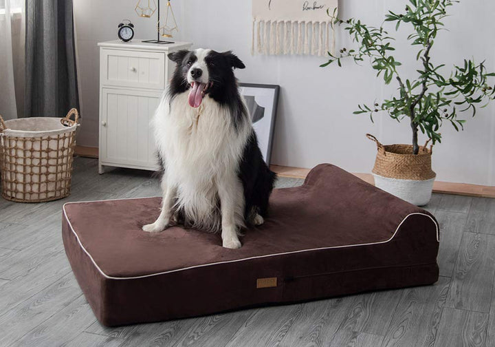 Orthopedic Memory Foam Dog Bed 7 Inch Thick Extra Large Dog Bed With Pillow Brown 50x34x10 Includes Waterproof Liner &amp; Durable Removable Cover With Smart Design