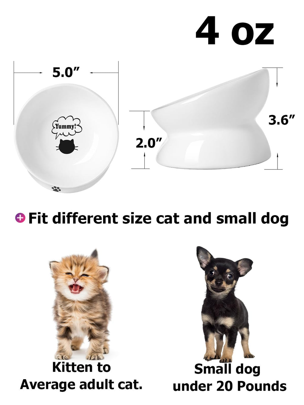 Cat Bowl Anti Vomiting, Raised Food Bowls, Tilted Elevated Bowl, Ceramic Pet Food Bowl for Flat Faced Cats, Small Dogs, Protect Pet's Spine, Dishwasher Safe (5 Inches, White)