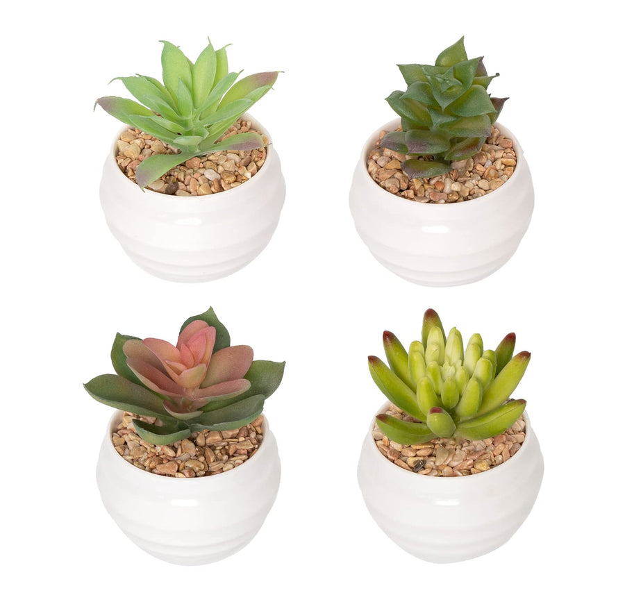 Artificial Succulent Plants in Pots, Fake Plants for Indoors, Home Garden Decor, Cactus Plants Artificial, Fake Cacti, Faux Succulents, Set of 4
