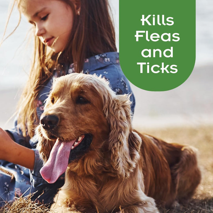 SENTRY Oatmeal Flea and Tick Shampoo for Dogs, Rid Your Dog of Fleas, Ticks, and Other Pests, Hawaiian Ginger Scent, 18 oz
