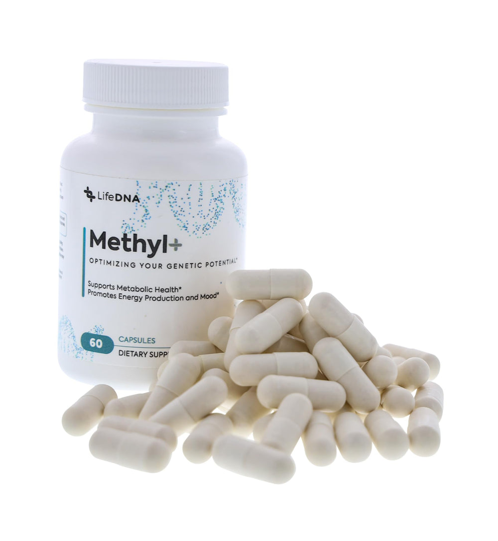 Methyl+ Methylated Multivitamin Complex with Methylfolate & TMG for Optimized Homocysteine, Brain, Cardiovascular & Neurotransmitter Support