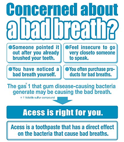 Access Herbal Extract Toothpaste, Mint, 4.2 Ounce
