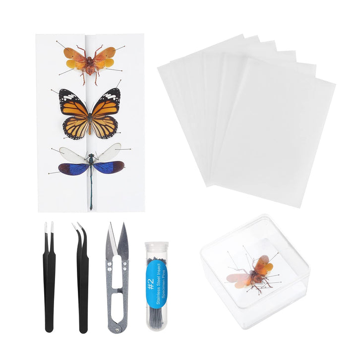 Making Insect Specimen Tools Kit, with Insect Pins,Insect Pinning Board, Wings Pressing Paper,Tweezers, Scissors, Insect Display Case, Insect Collection for Bug Hobbyist/Biology Projects