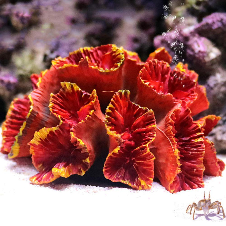 1Pc of Polyresin Coral Ornament, Aquarium Coral Decor 3 1/10 x 2 1/3 x 1 9/10 for Fish Tank Aquarium Decoration