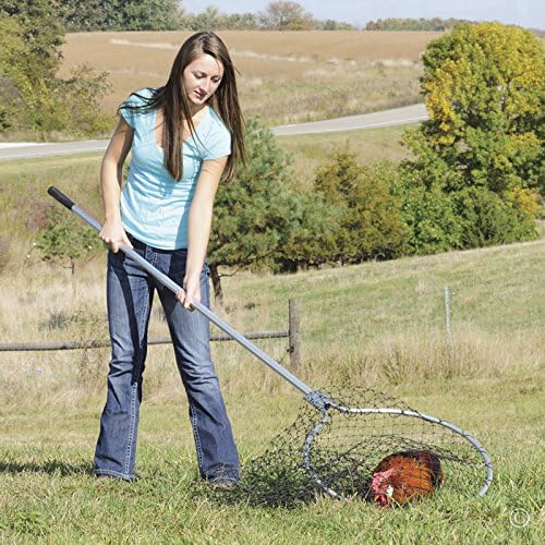 Premier EZ Catch Net (37- 57 Handle with 23 Net Opening &amp; Teardrop Mesh)