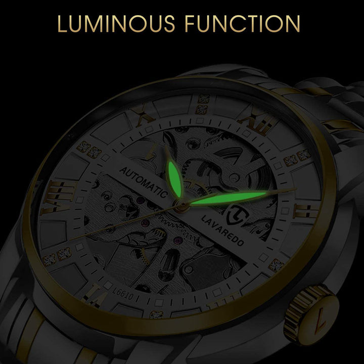 Mens Watch Skeleton Luxury Mechanical Stainless Steel Waterproof Black Automatic Self-Winding Roman Numerals Diamond Dial Wrist Watch
