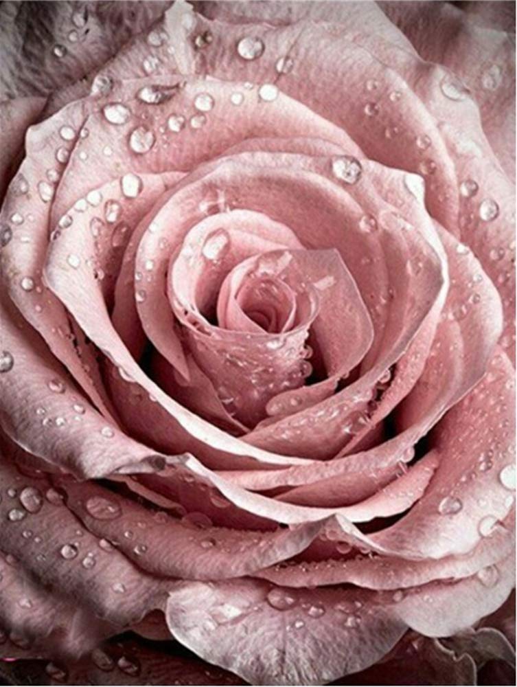 pigpigboss Pink Rose Diamond Painting Kit 5D Full Diamo