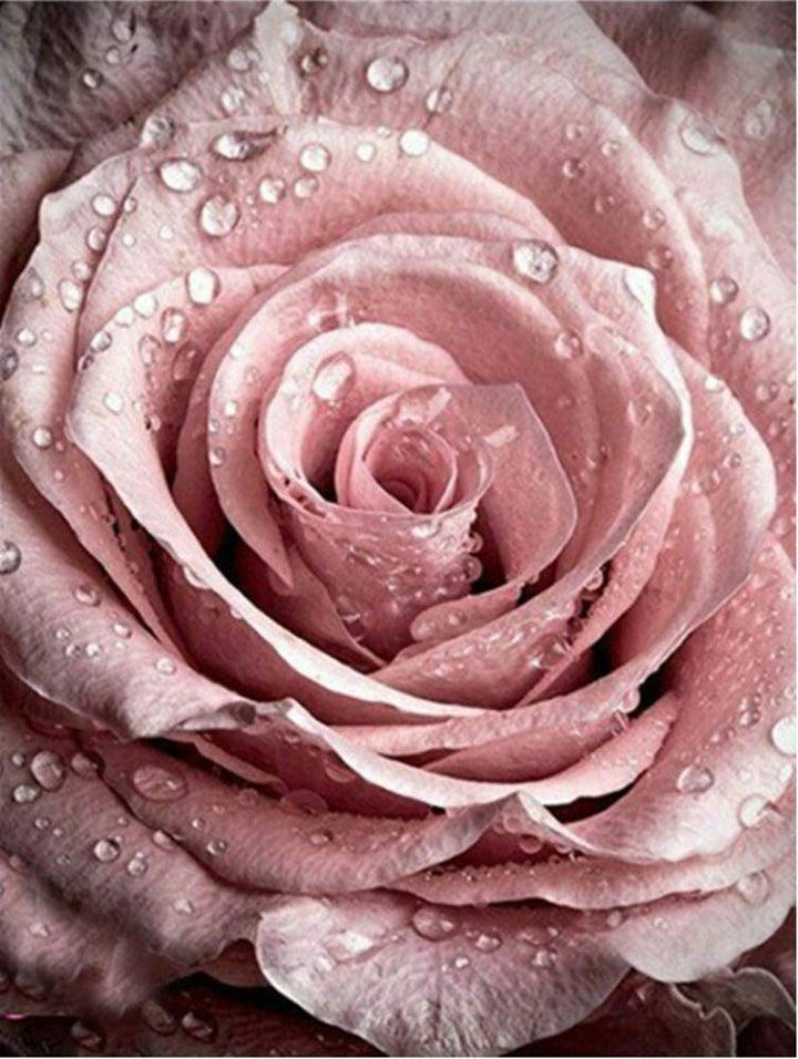 pigpigboss Pink Rose Diamond Painting Kit 5D Full Diamo