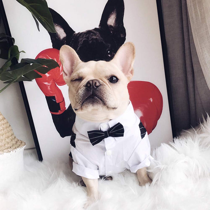 Meioro Pet Clothes Dog Shirt Dog Tuxedo Bow Tie Shirt S