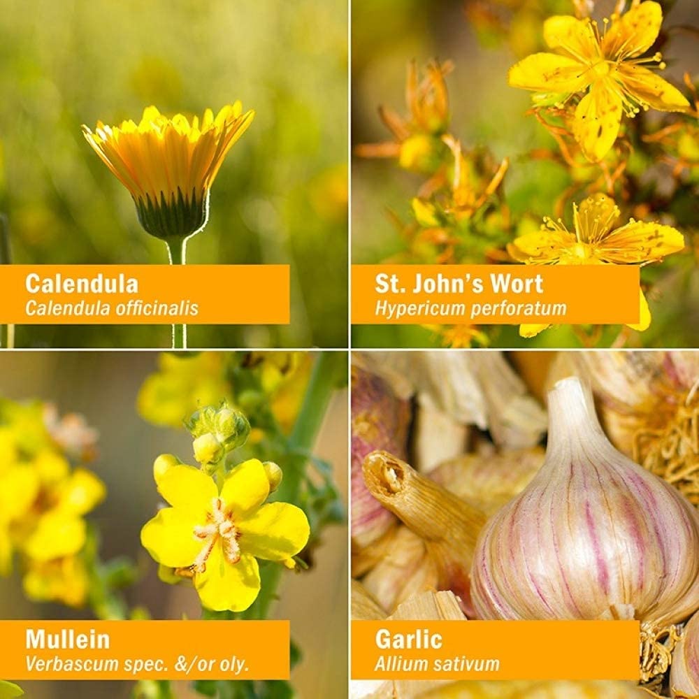 Herb Pharm Kids Mullein and Garlic Oil, Calendula, Garl