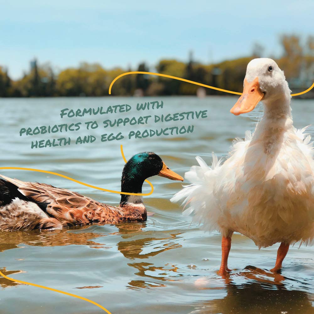 Manna Pro Duck & Goose Layer Pellets, High Protein for Increased Egg Production, Formulated with Probiotics to Supports Gut Health & Digestion, 8 lbs