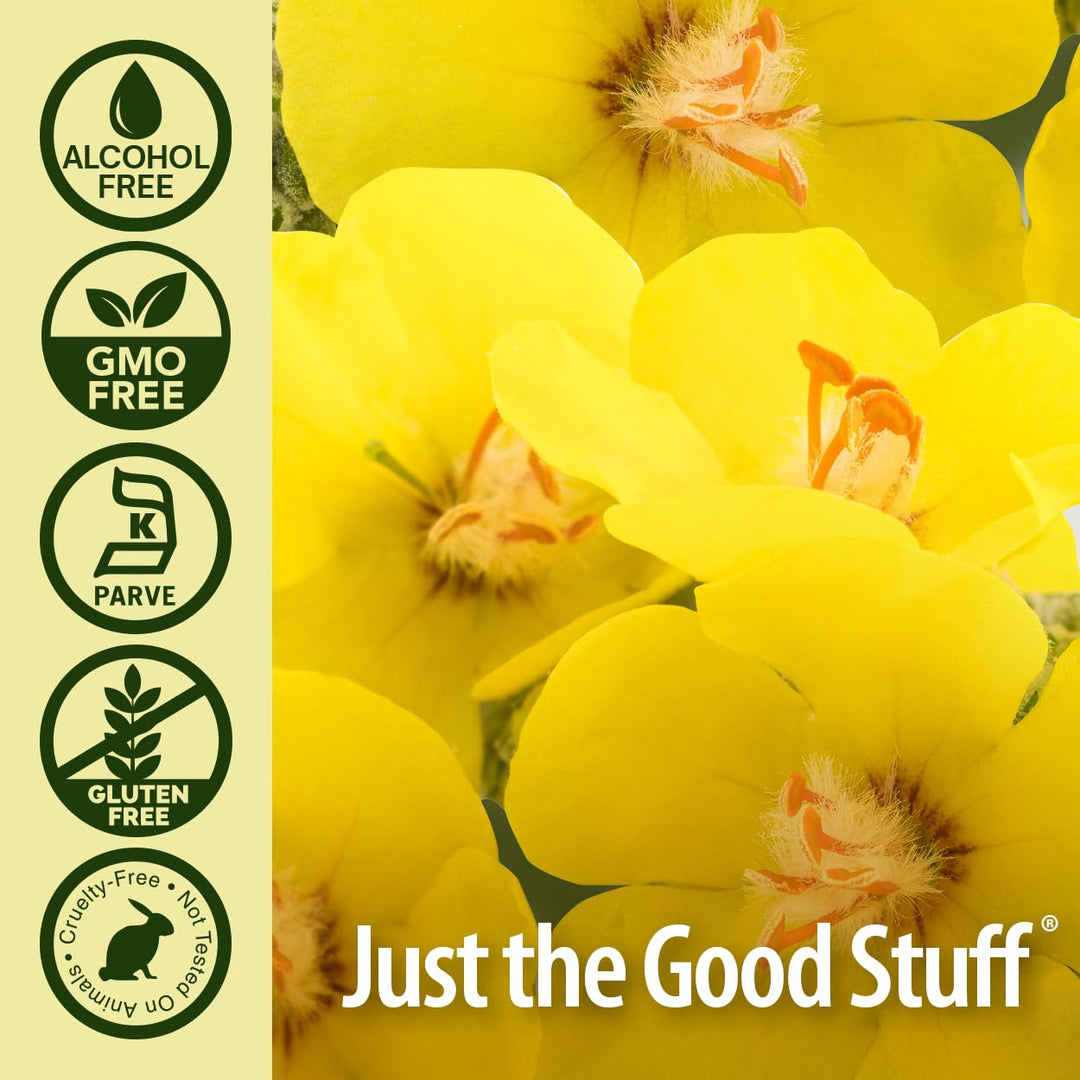 Nature&#39;s Answer Mullein Drops for Lungs, Alcohol-Free Mullein Tea, 1 Ounce Mullein Leaf Extract for Lungs, Supports Respiratory Function, Promotes Healthy Lungs, Non-GMO, Made in USA