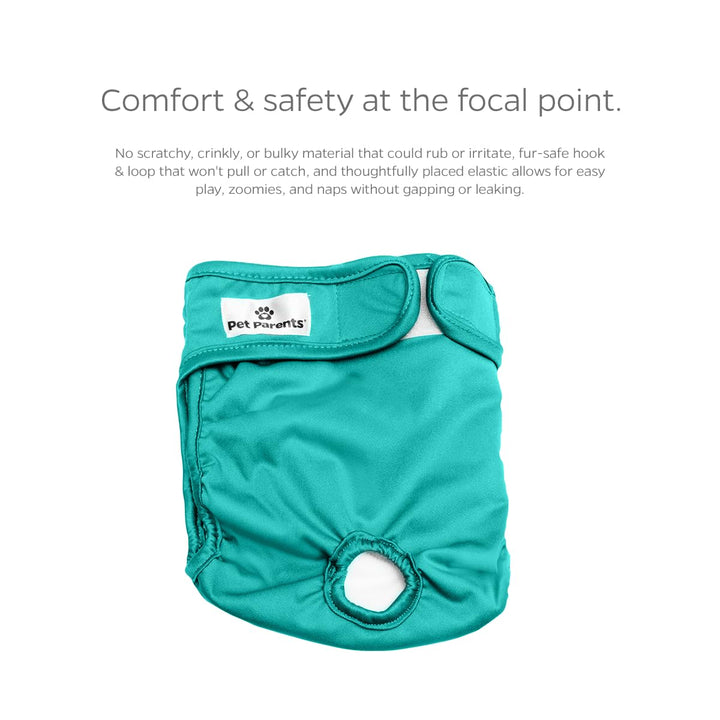 ® Washable Dog Diapers (3pack) + Extendrs® of Durable Doggie Diapers, Premium Dog Diapers Female (Medium, Southern Belle)