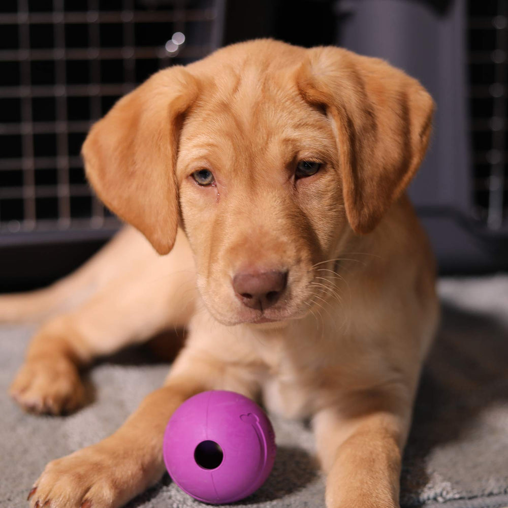 Dog Fetch Balls for All Breed Sizes