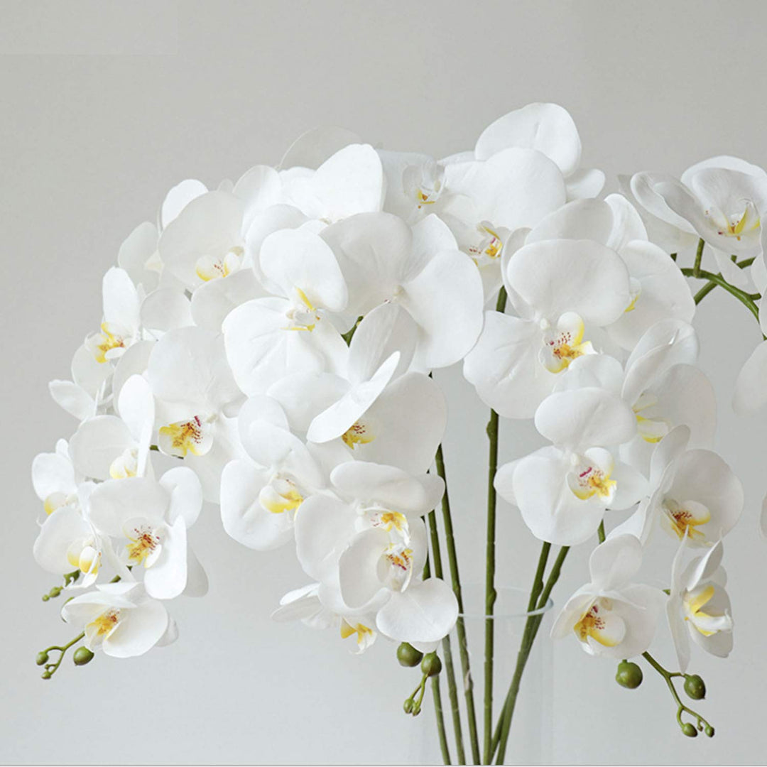 6 Pcs Artificial Phalaenopsis Flowers with 2 Bundles Leaves Artificial Orchid Flowers Stem Plants for Home Décor
