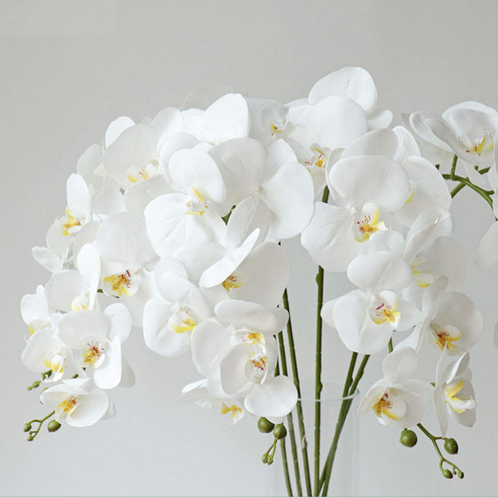 6 Pcs Artificial Phalaenopsis Flowers with 2 Bundles Leaves Artificial Orchid Flowers Stem Plants for Home Décor