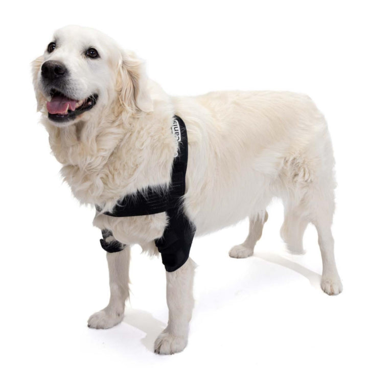 - Elbow Orthosis for Dogs with Elbow Arthritis, Hygromas or Shoulder Dislocation, Size L