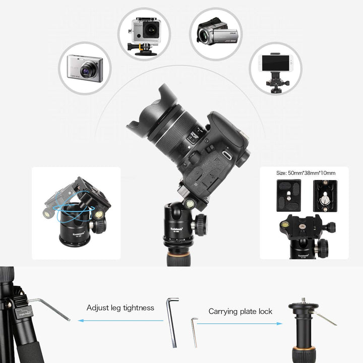 Koolehaoda Camera Tripod Mini Travel Tripod with 360° Ball Head, 21 Aluminum Compact Desktop Tripod for DSLR Camera Video Camcorder, Load up to 22lb/10kg