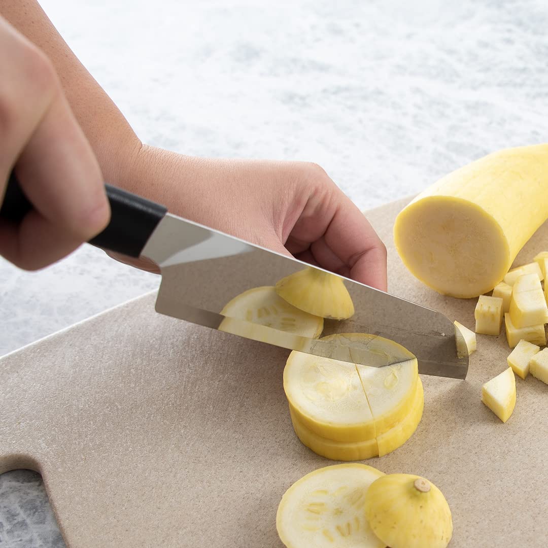 Rada Cutlery W234 Cook&#39;s Knife with Stainless Steel Resin Handle