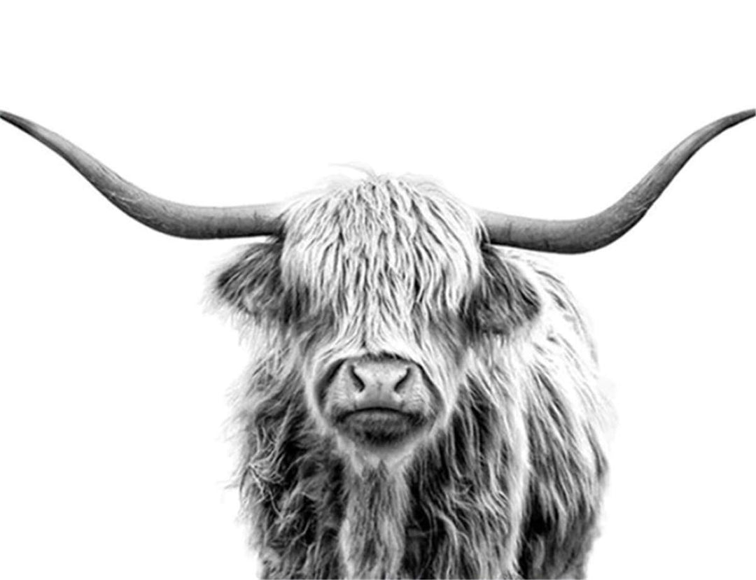 Paint by Numbers for Adults, DIY Oil Paint by Number for Adults Kids Beginner Student&#39;s - Elegant Beautiful Woman 16x20 Inch DIY Home Decor Canvas Acrylic Paint Art Set