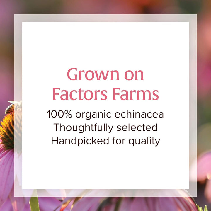 Natural Factors Anti-V Formula, Echinacea Supplement for Immune and Wellness Support, Organic, Non-GMO, 120 Softgels