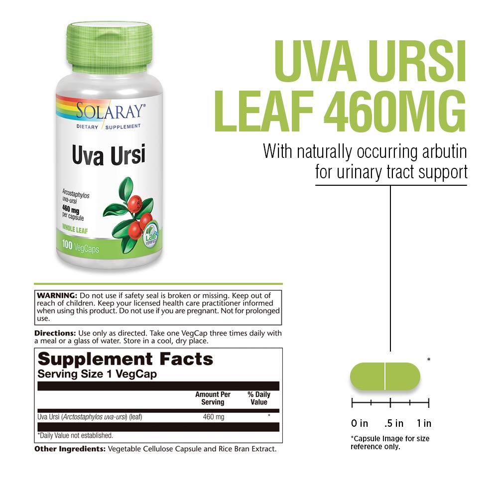 Solaray Uva Ursi Leaf 460 mg | Healthy Bladder, Kidney 