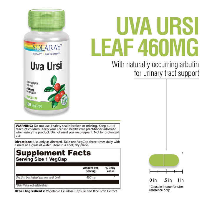 Solaray Uva Ursi Leaf 460 mg | Healthy Bladder, Kidney 