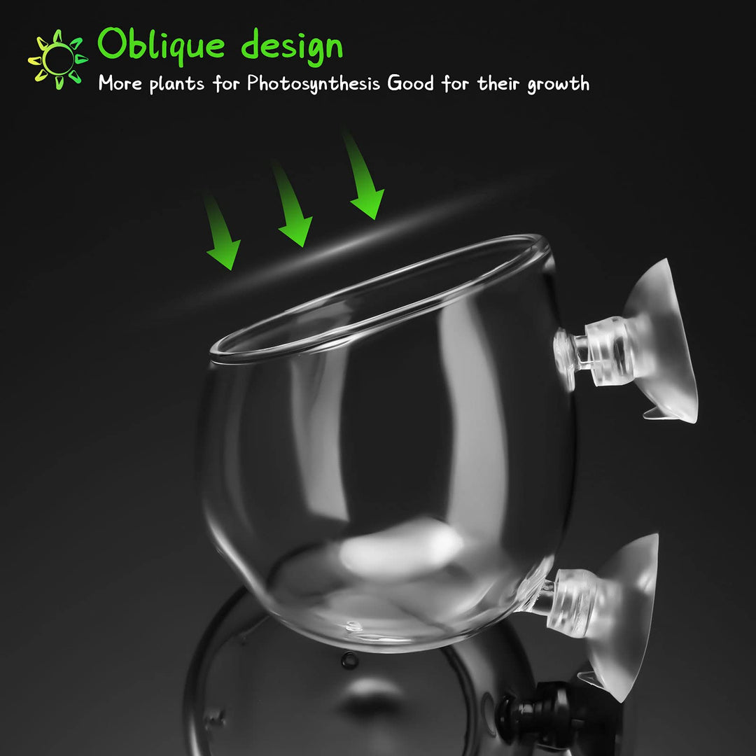CHENGU 6 Pieces Aquatic Plant Pot with Hole Glass Aquarium Plant Cup Aquatic Planter with Suction Cups Plant Holder Aquarium Decoration for Aquarium Shrimp Fish Live Plants, 3 Styles