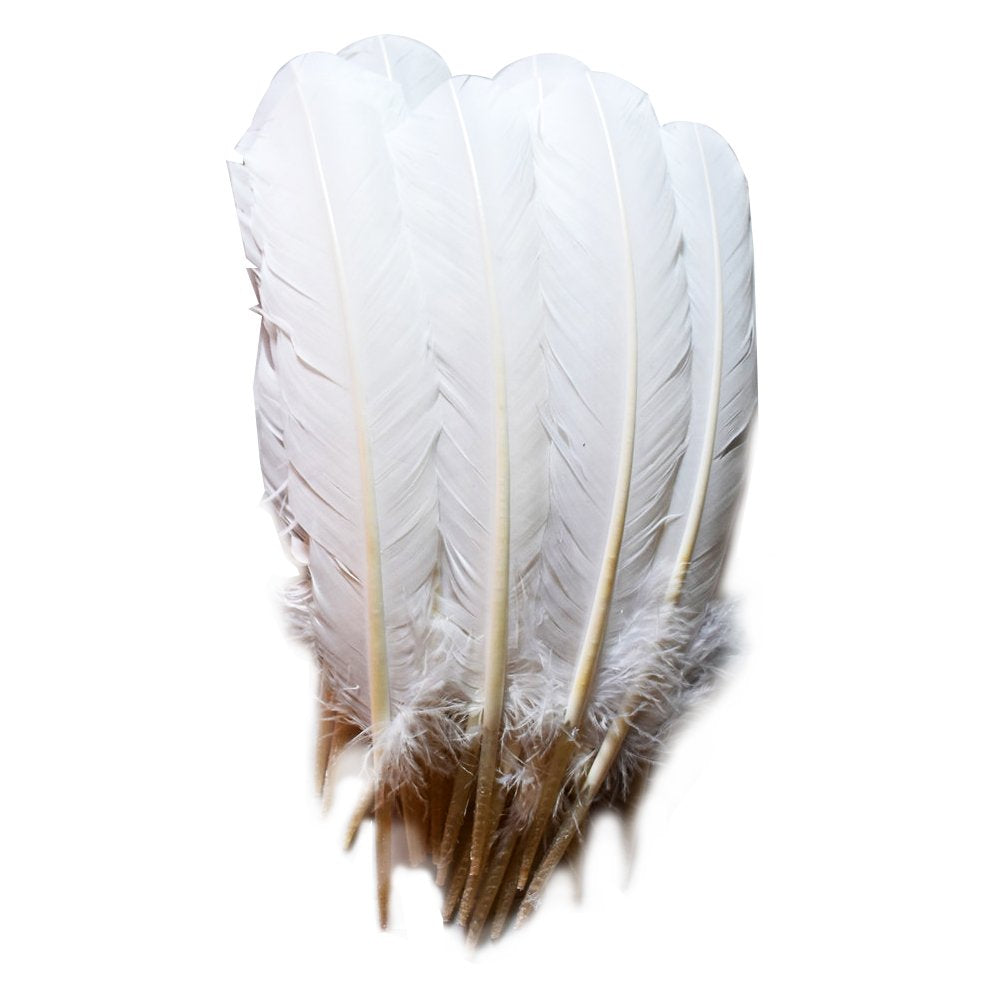 120 Pcs Turkey Quill Feathers 10-12 inches White