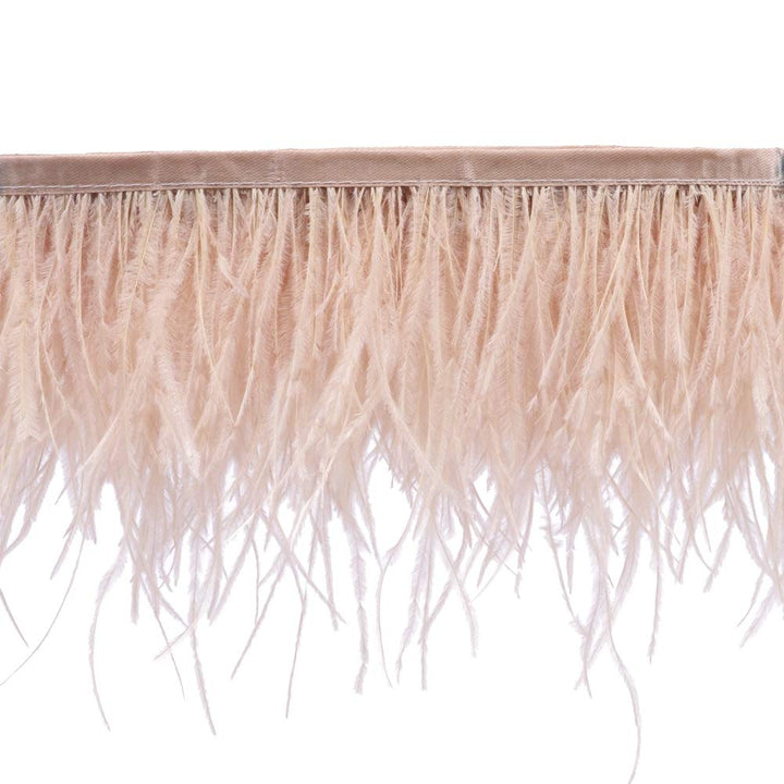 Ostrich Feathers Sewing Fringe Trim Ribbon for Crafts Clothes Accessories Latin Wedding Dress DIY 2 Yards 4-6inch Width (Champagne)
