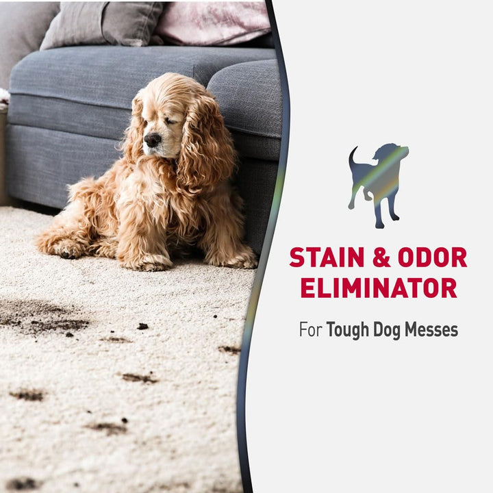 Nature’s Miracle Advanced Stain &amp; Odor Eliminator, Sunny Lemon Scent, Severe Mess Enzymatic Formula For Tough Pet Messes, 1 Gallon