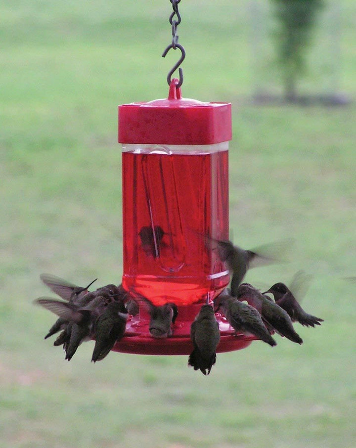 First Nature 3055 32-ounce Hummingbird Feeder
