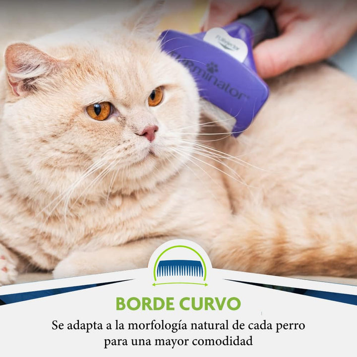 deShedding Tool For Medium/Large Cats, Short Hair, Removes Loose Hair From Shedding