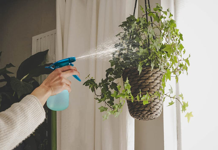 Tolco Empty Spray Bottle 8 oz. Frosted Assorted Colors