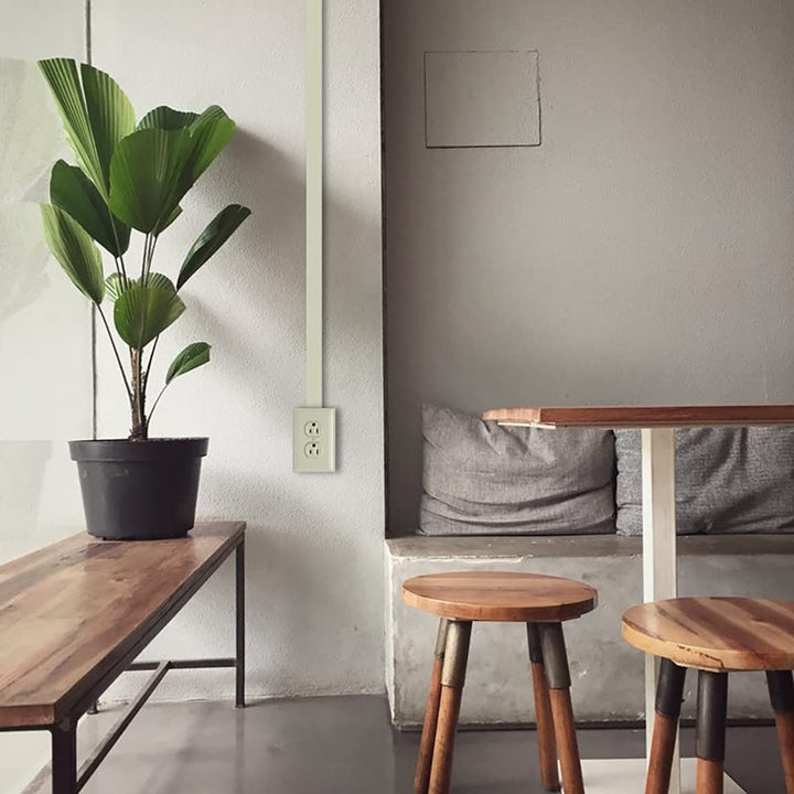 Legrand - NM2 Switch/Outlet Box